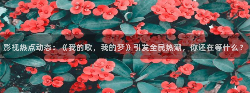 黑豹2电影天堂：影视热点动态：《我的歌，我的梦》引发全民热潮，你还在等什么？