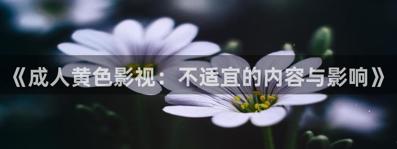 电影天堂亚洲av：《成人黄色影视：不适宜的内容与影响》