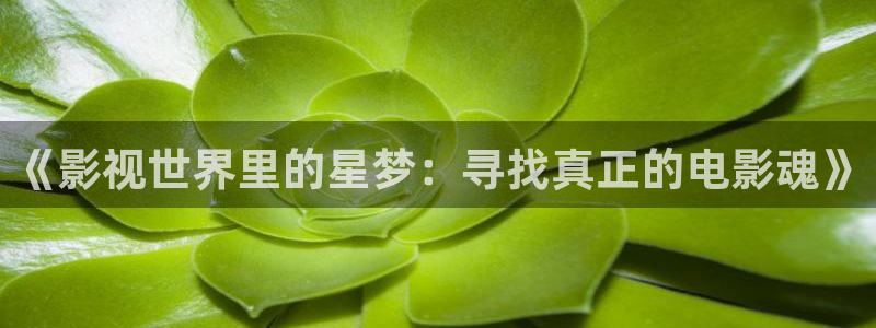 天堂社区影视：《影视世界里的星梦：寻找真正的电影魂》