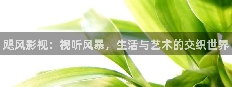 无人生还电影天堂：飓风影视：视听风暴，生活与艺术的交织世界