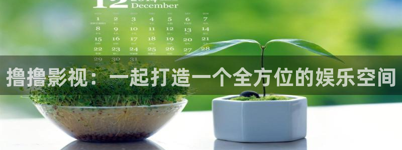 电影天堂美国行动：撸撸影视：一起打造一个全方位的娱乐空间