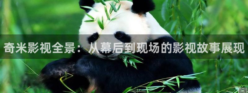ok电影天堂下载：奇米影视全景：从幕后到现场的影视故事展现