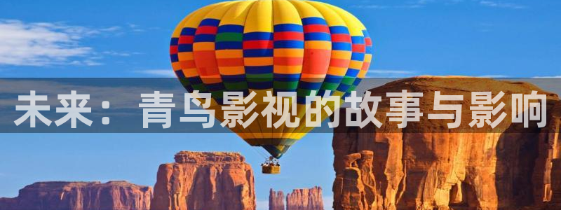 电影天堂 傲慢与偏见：未来：青鸟影视的故事与影响