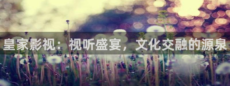 草民电影院电影天堂：皇家影视：视听盛宴，文化交融的源泉