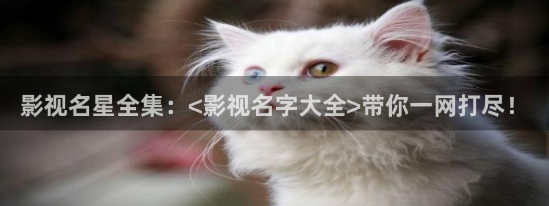海贼王电影天堂下载：影视名星全集：<影视名字大全>带你一网打尽！
