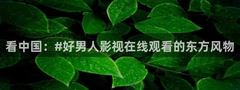 边境杀手电影天堂：看中国：#好男人影视在线观看的东方风物