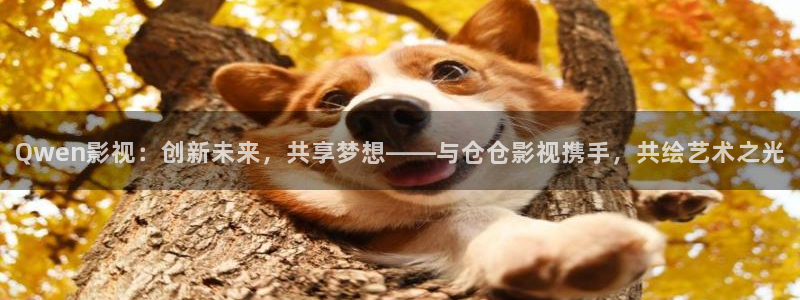 天堂在望 电影：Qwen影视：创新未来，共享梦想——与仓仓影视携手，共绘艺术之光