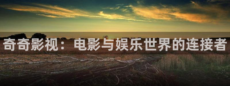 va天堂电影一区：奇奇影视：电影与娱乐世界的连接者