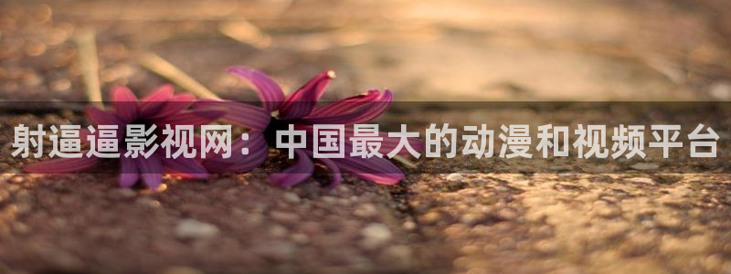 火舞风云电影天堂：射逼逼影视网：中国最大的动漫和视频平台